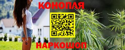 PSILOCYBIN Пенза